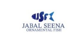 Jabal Seena Ornamental Fish - Aquarium Shop  in United Arab Emirates